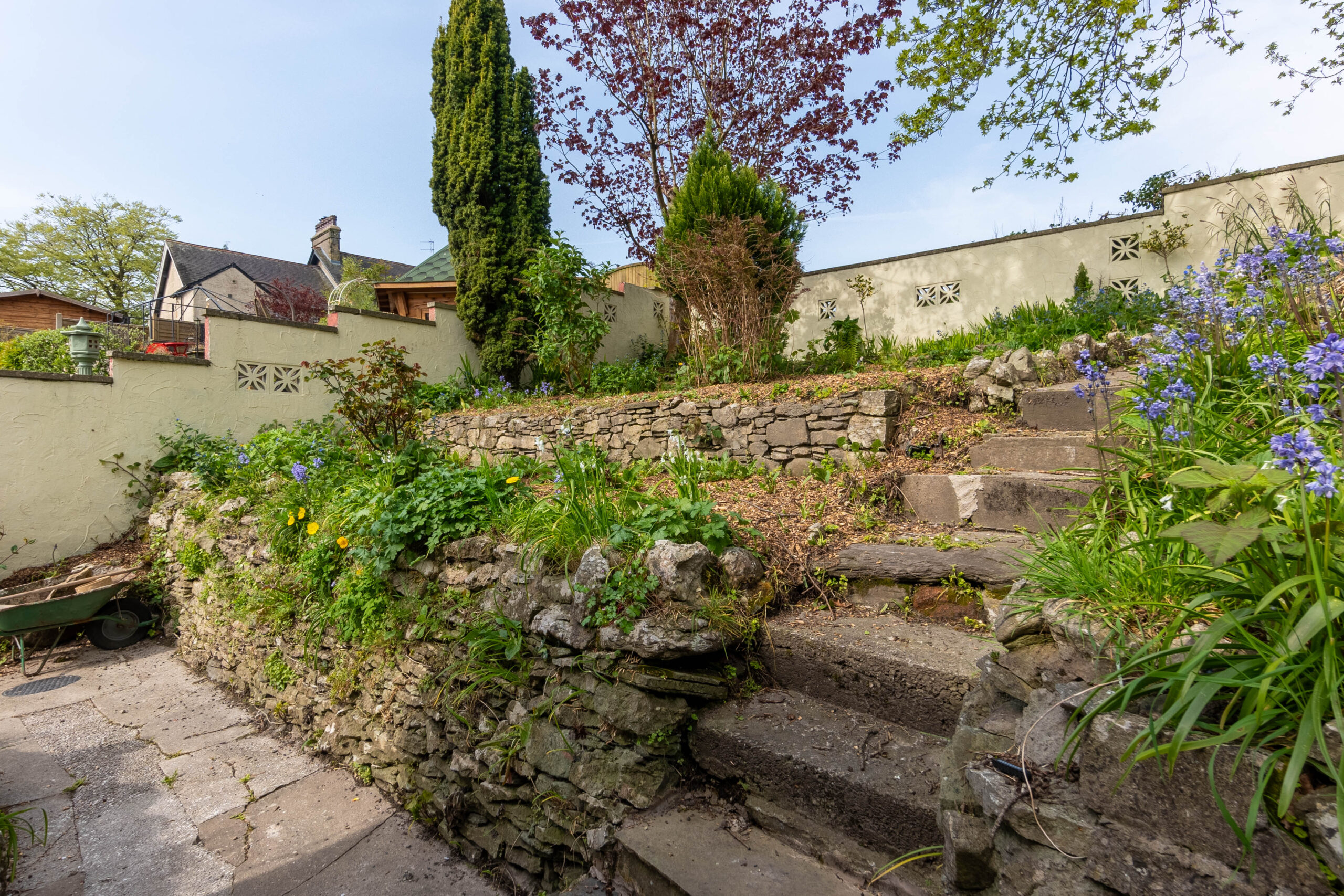 DSC05386-HDR.jpg