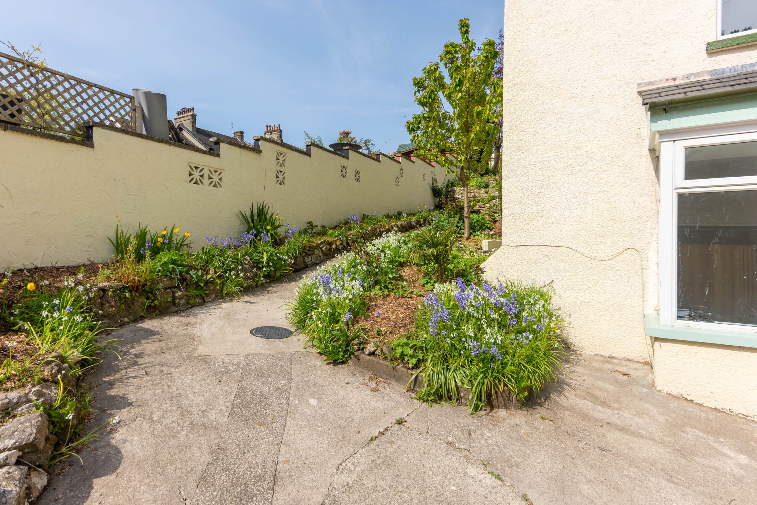 DSC05437-HDR.jpg