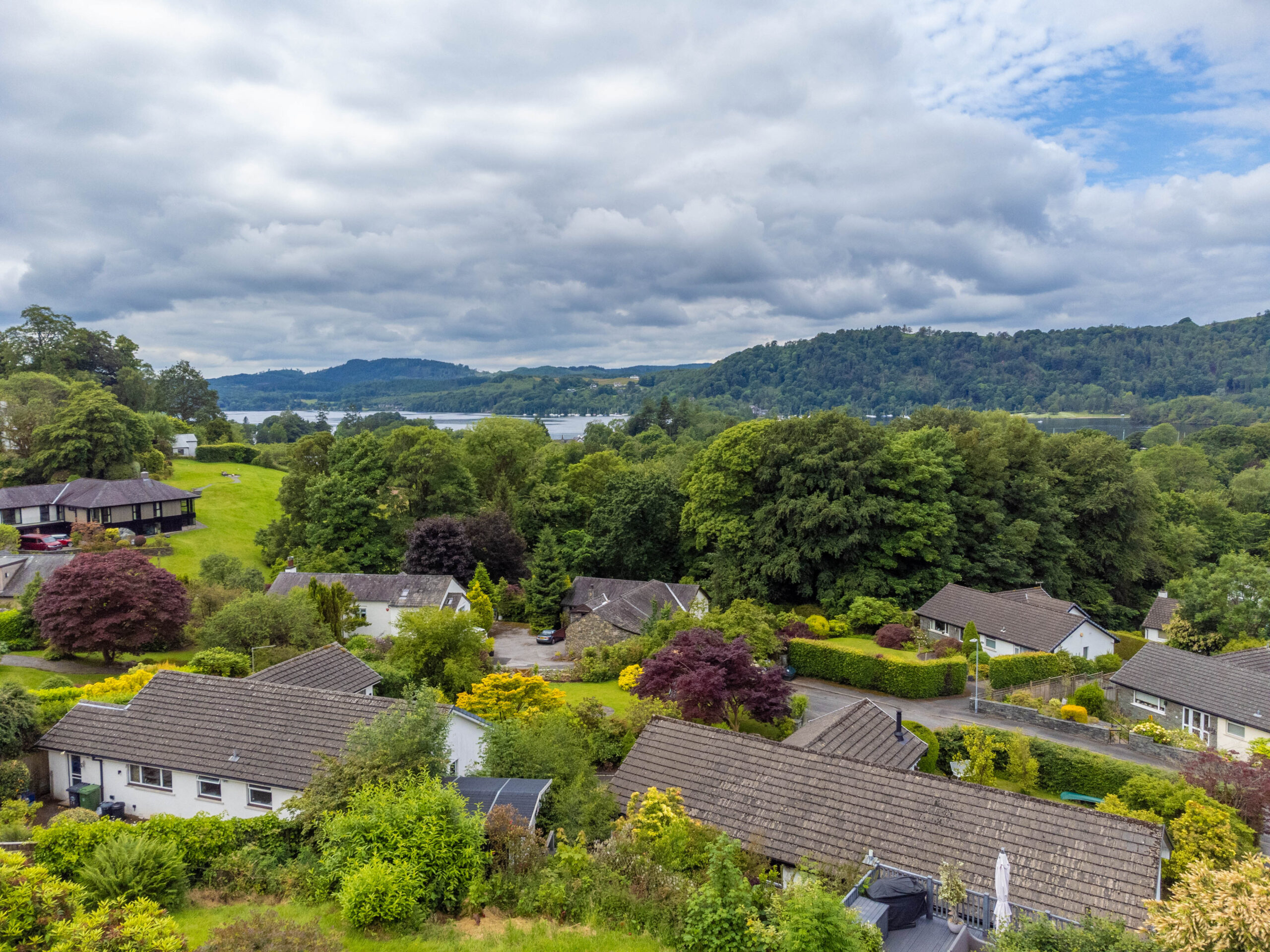 DJI_0113.jpg