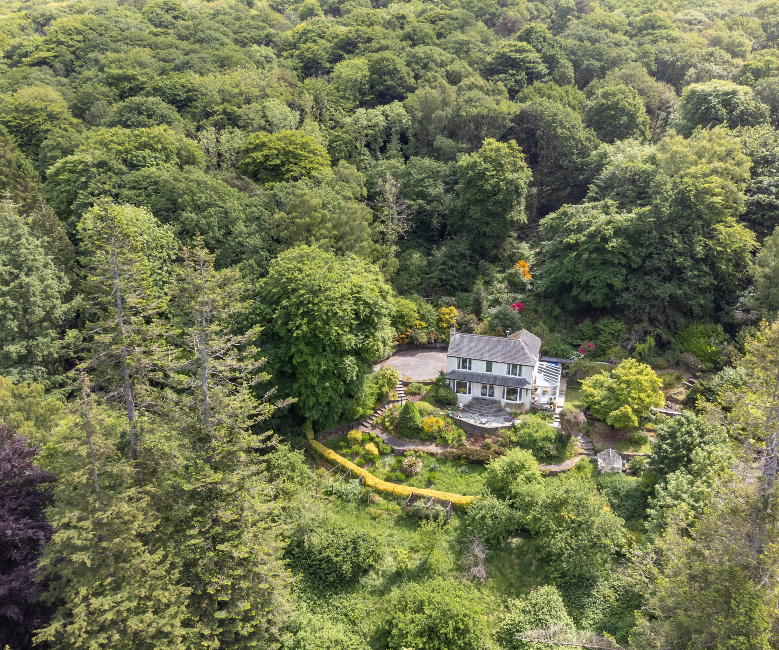 DJI_0736.jpg