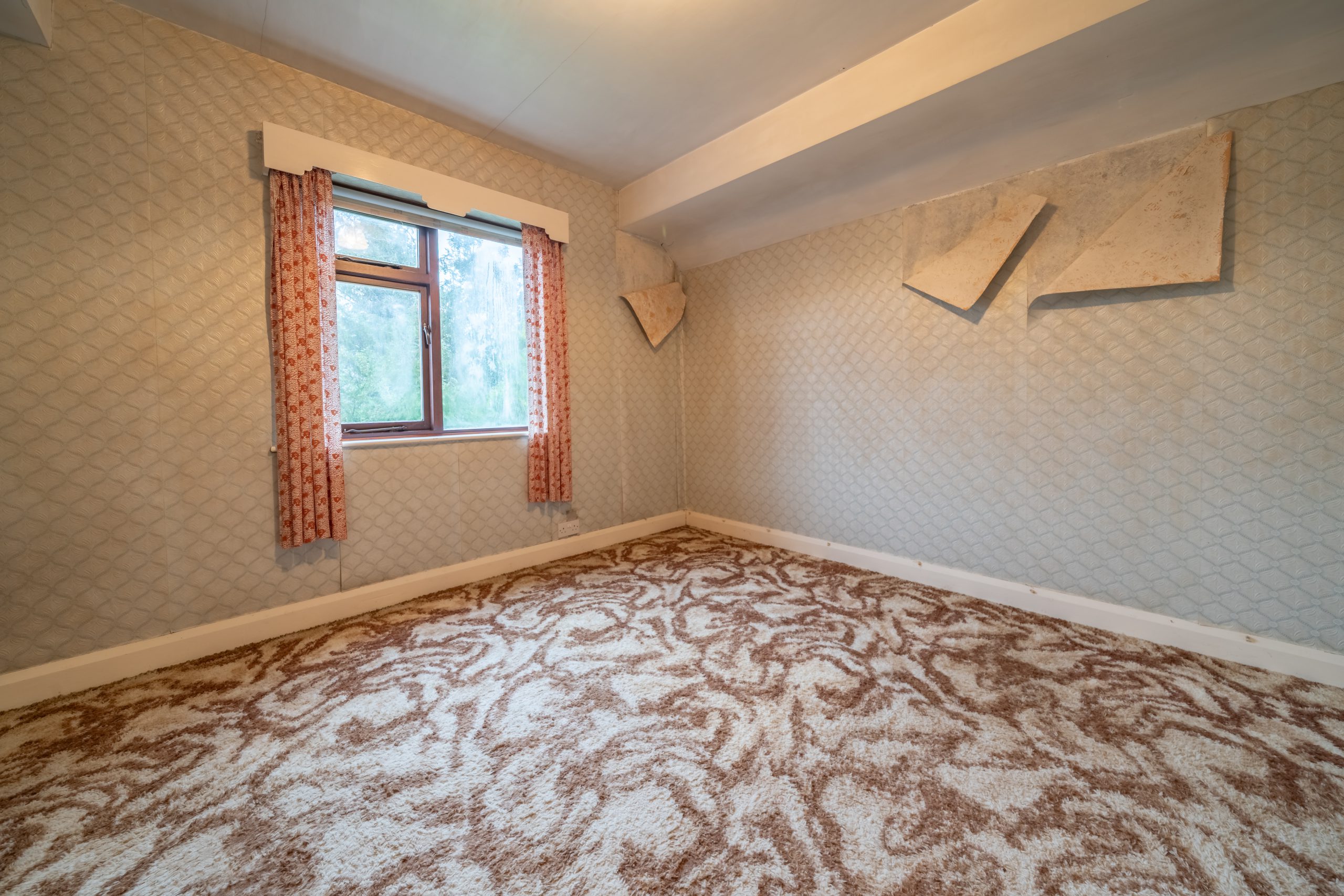 DSC08930-HDR.jpg