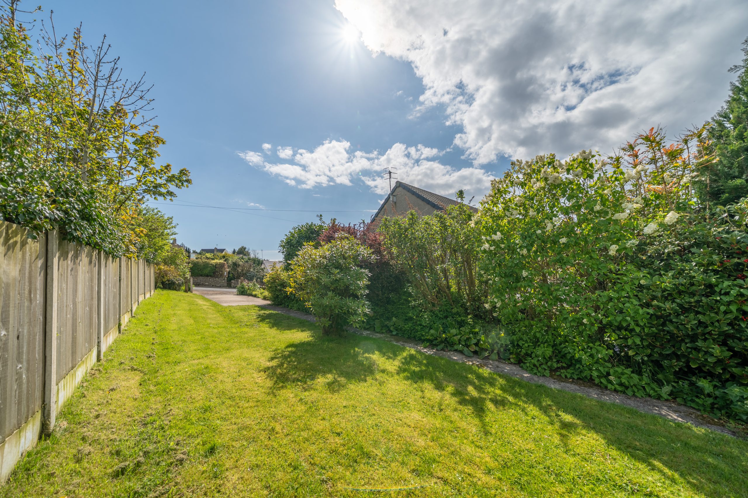 DSC05659-HDR.jpg
