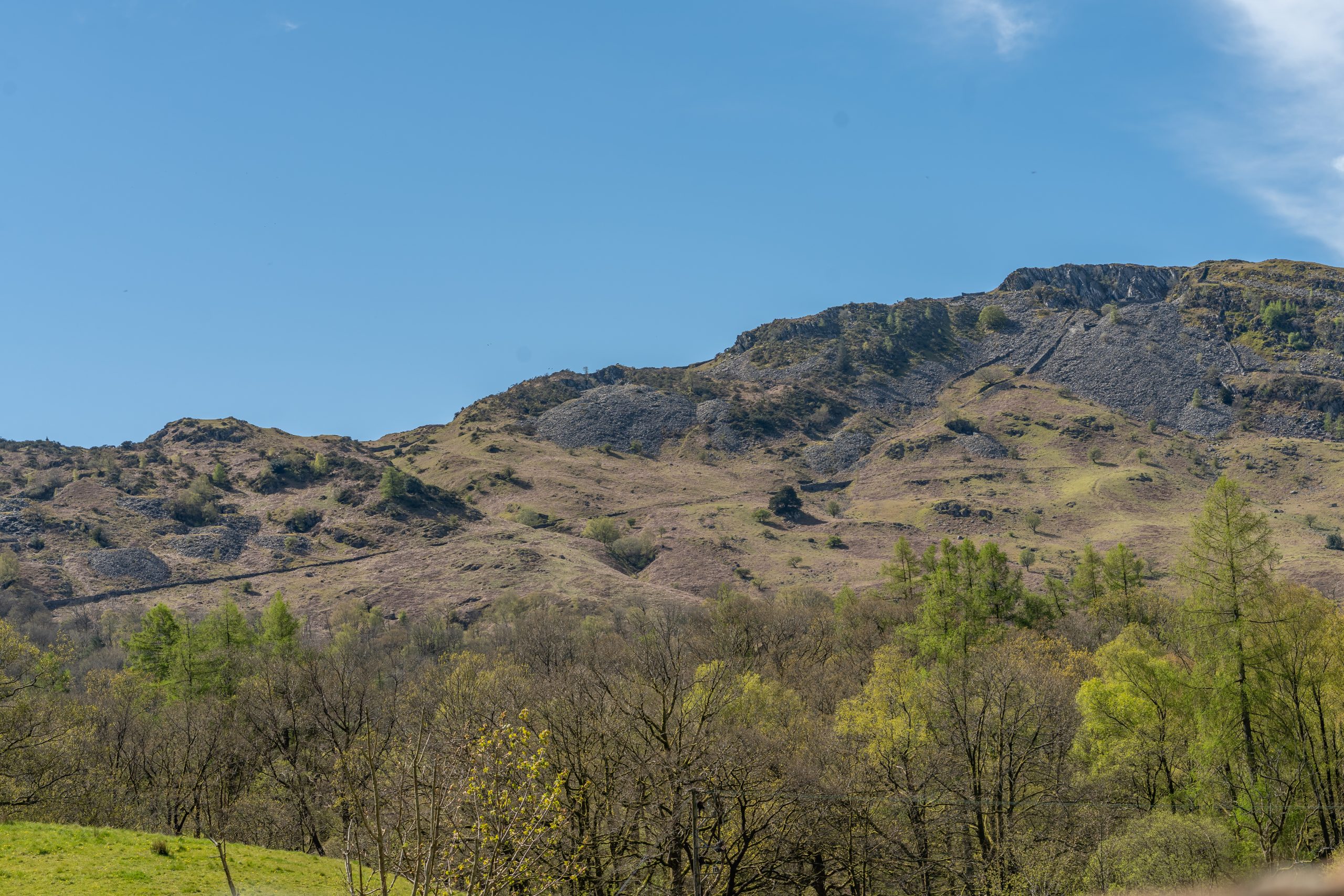 DSC00876-HDR.jpg