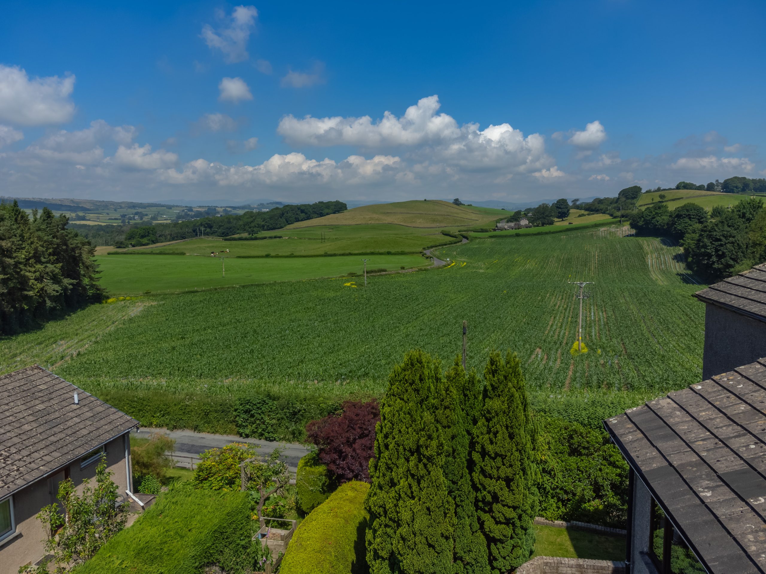 DJI_0461.jpg
