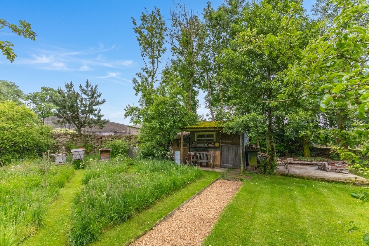 ai-enhanced-6a3bbc8a93b17.jpg